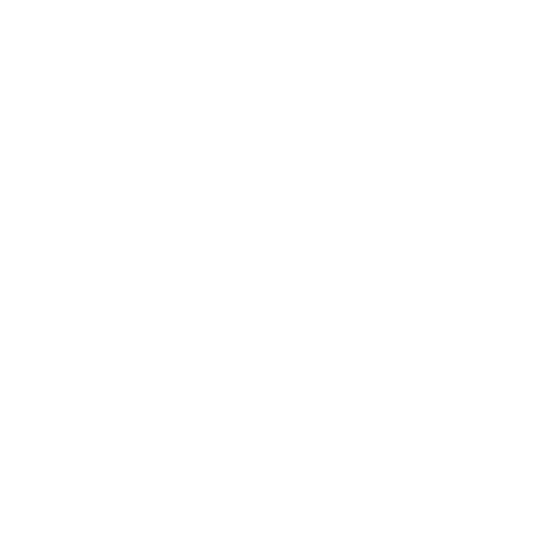 White linkedin logo